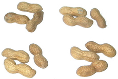 Erdnüsse-4x3.jpg